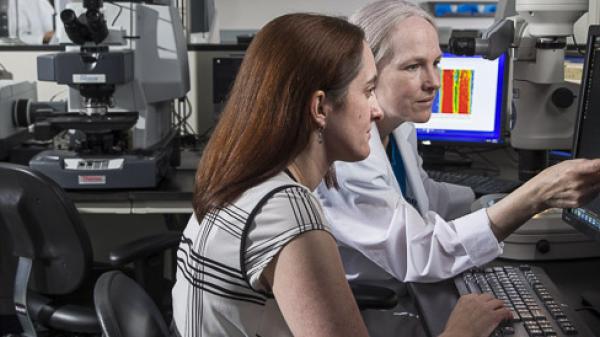 Researchers in a lab