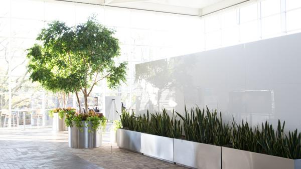 Baxter building with trees