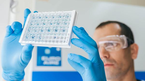 Photo of scientist observing lab samples